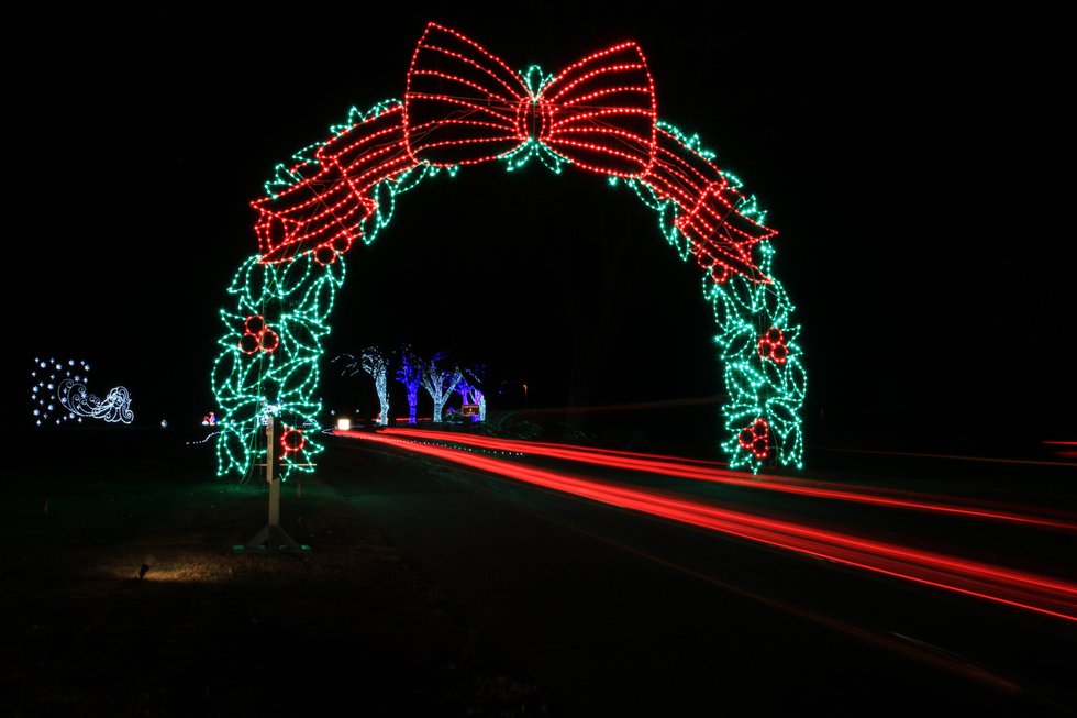 Bull run festival store of lights