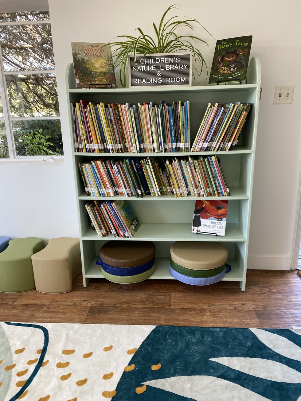 Children's Nature Library and Reading Room 1.jpeg