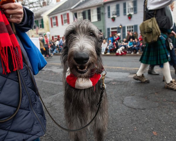 Scottish Walk 2023 CREDIT Joy Asico for Visit Alexandria (536)-medium.jpg