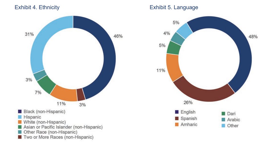 ARISE-interim-ethnicity-report.png