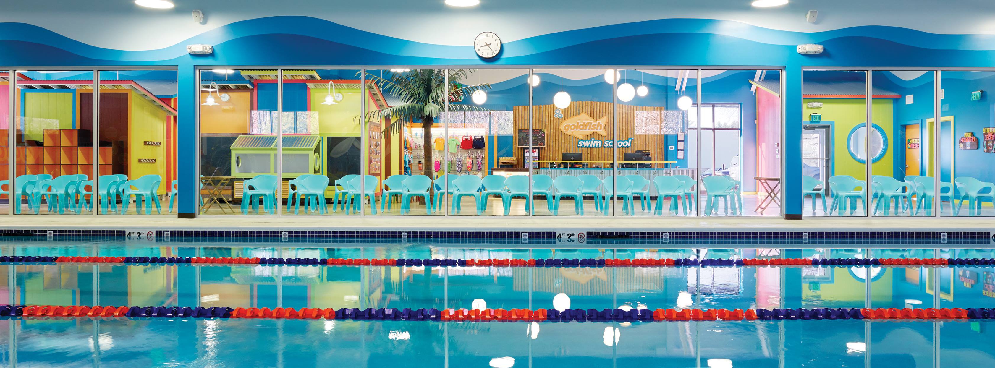 Goldfish Swim School Aims For January Opening In Alexandria Alexandria Living Magazine