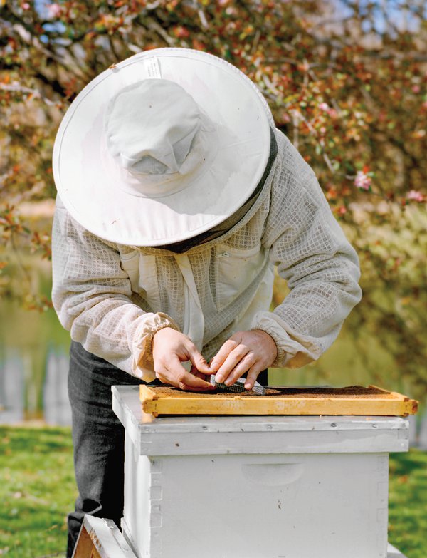 beekeeper.png