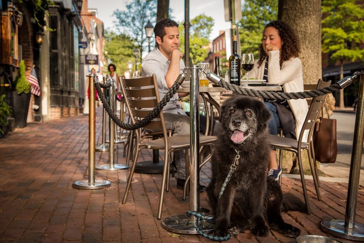 Outdoor_dining_with_dog_Bunny_CREDIT_K_Summerer_for_Visit_Alexandria-720x480-328d50ad-b6e7-4f8f-950f-88bf60c6216f.jpg