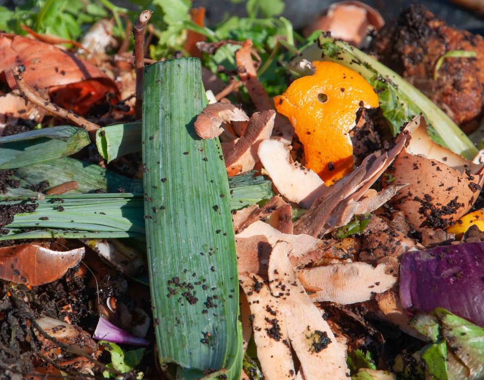 Compost Step 2 - Food Scraps and Waste.jpg