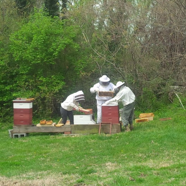 Beekeepers.jpg