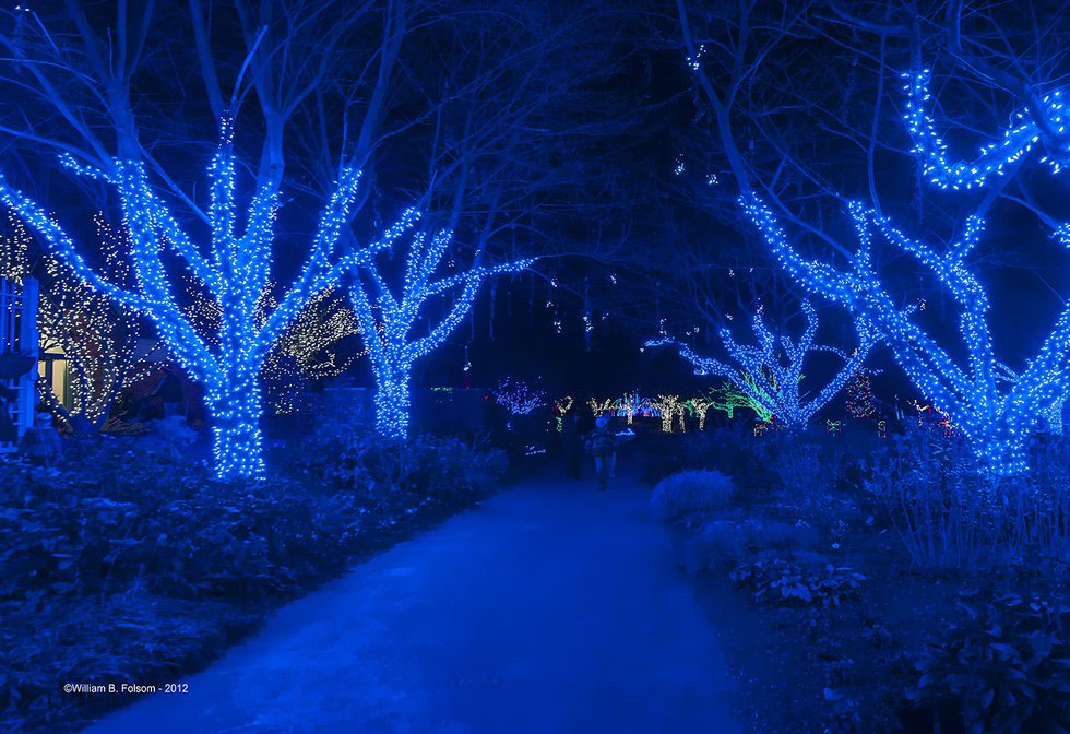 Meadowlark Gardens Winter Walk of Lights