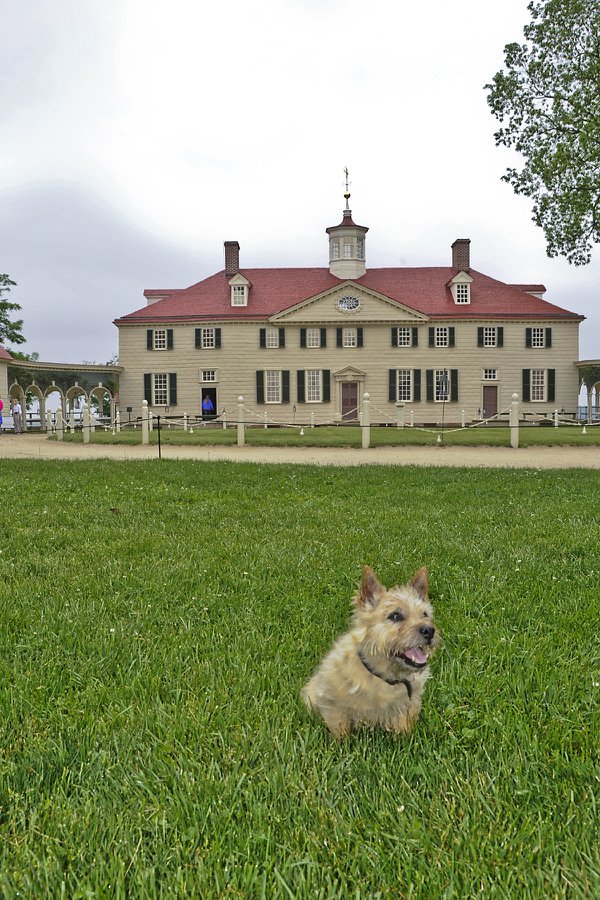 Bring your dog to Mount Vernon this spring.