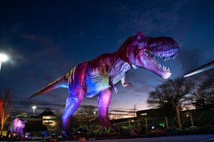 DinoSafari-2021-Northpoint-Mall-51-300x200.jpeg