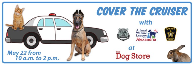 cover-the-cruiser-header-768x264.png