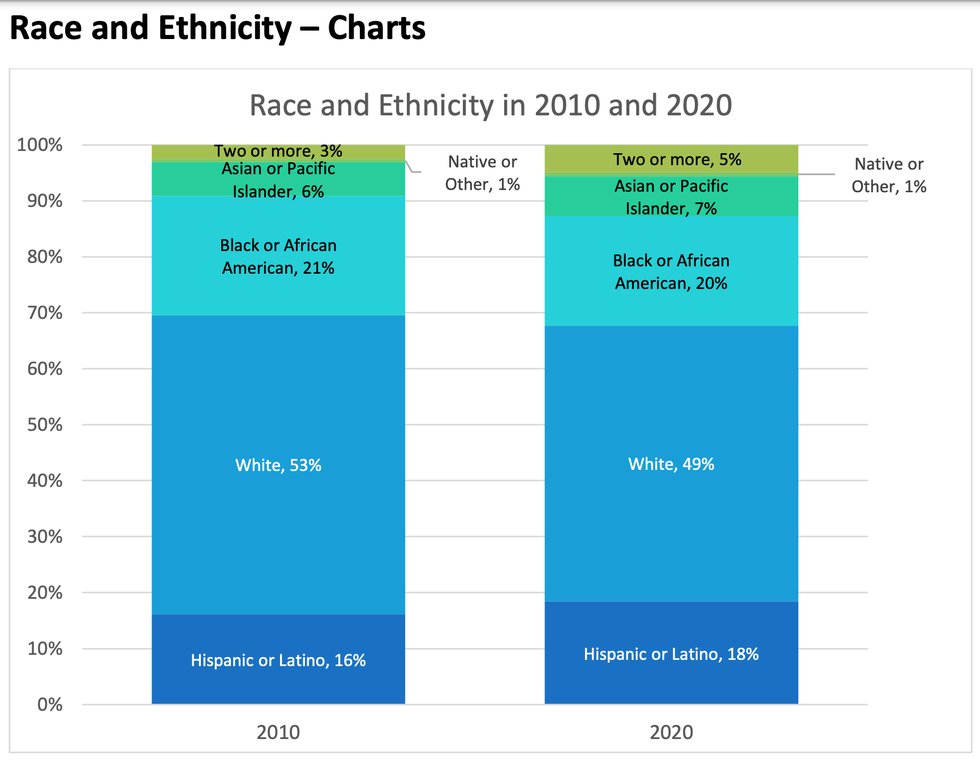 census-2020-alexandria-ethnicity.png