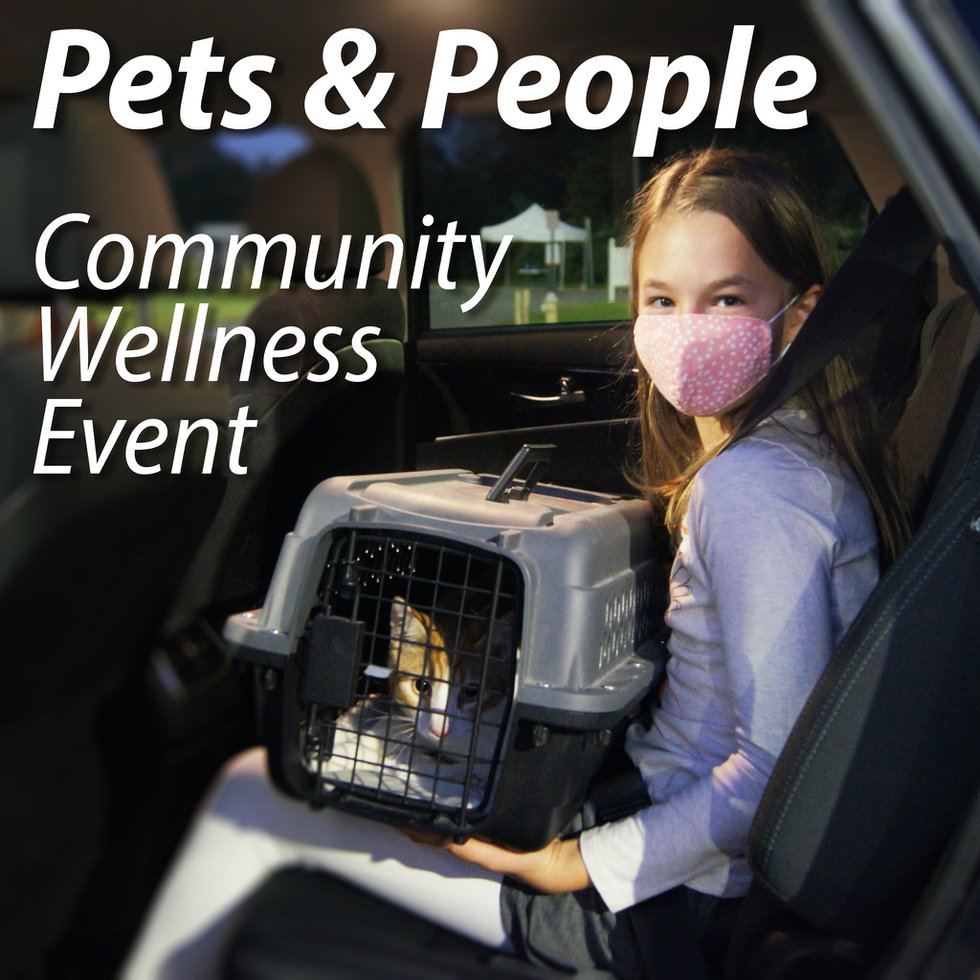 community wellness event image.jpg