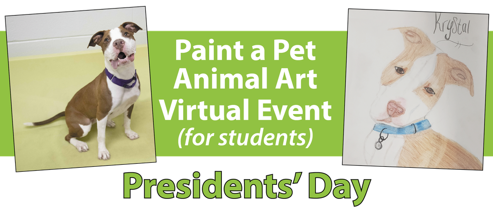 paint a pet event banner.png