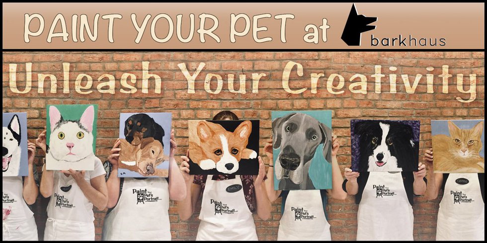 Paint+Your+Pet+Website+Banner.jpeg