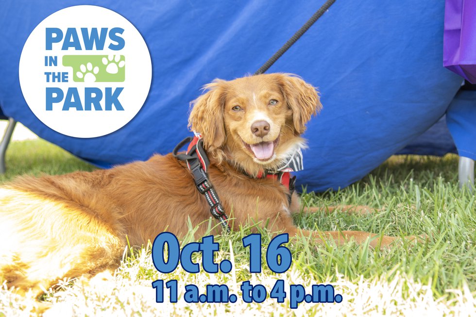 Paws in the Park Icon Image.jpg