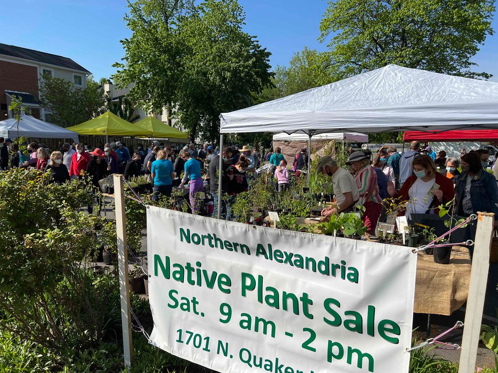 Northern Alexandria Native Plant Sale.jpeg